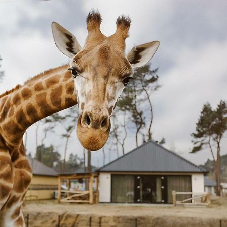 Safari Resort Beekse Bergen Hilvarenbeek Dış mekan fotoğraf