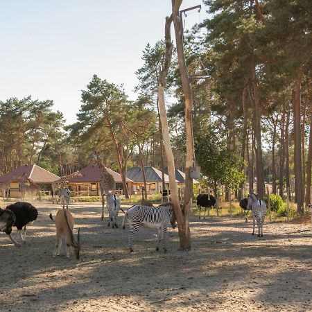Safari Resort Beekse Bergen Hilvarenbeek Dış mekan fotoğraf