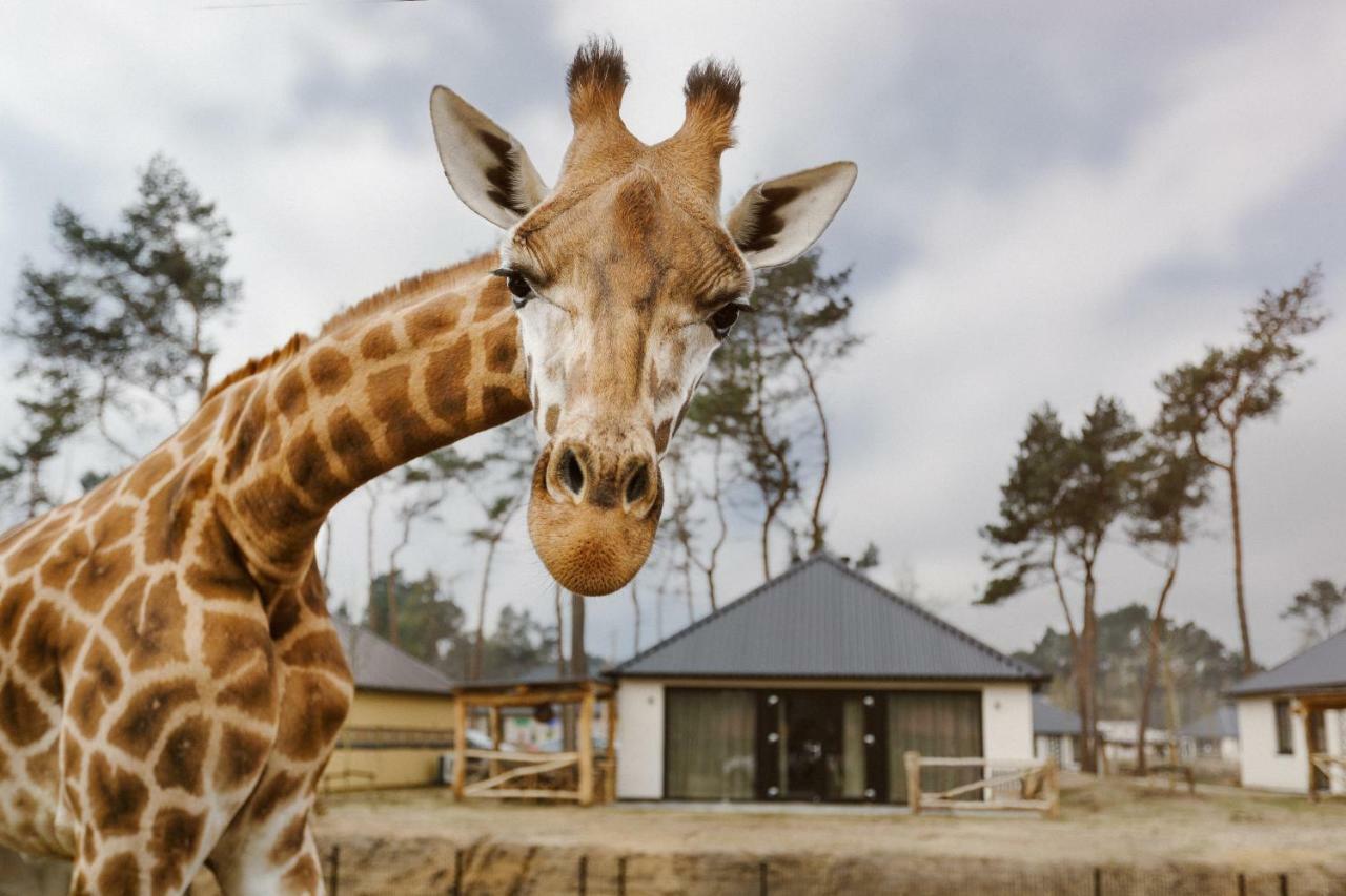 Safari Resort Beekse Bergen Hilvarenbeek Dış mekan fotoğraf