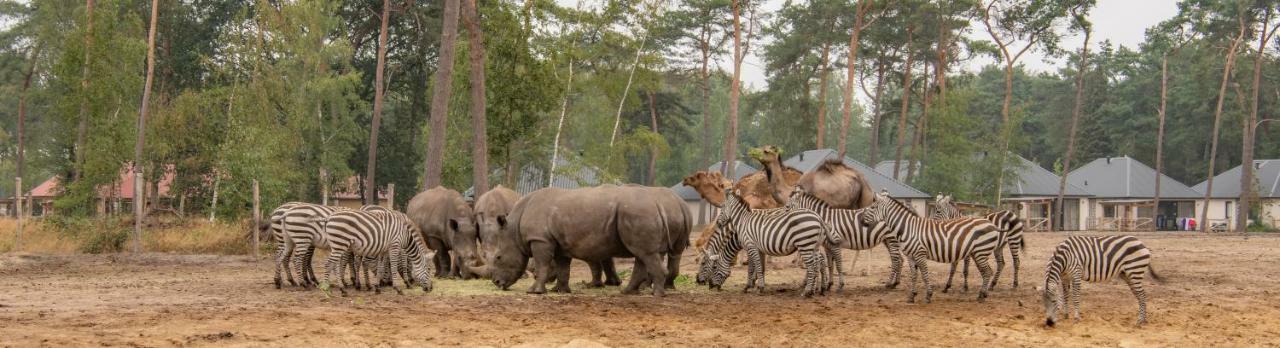 Safari Resort Beekse Bergen Hilvarenbeek Dış mekan fotoğraf