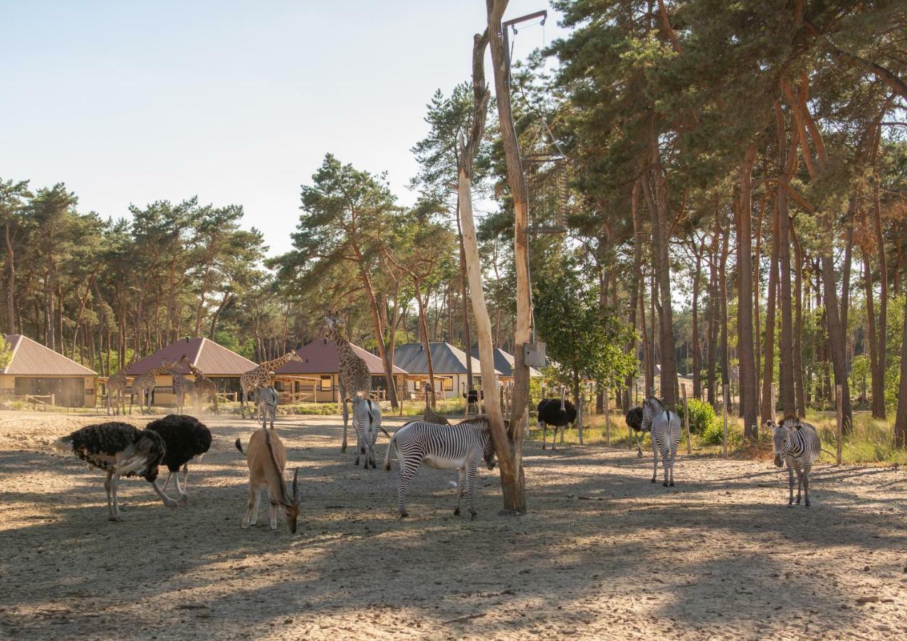 Safari Resort Beekse Bergen Hilvarenbeek Dış mekan fotoğraf