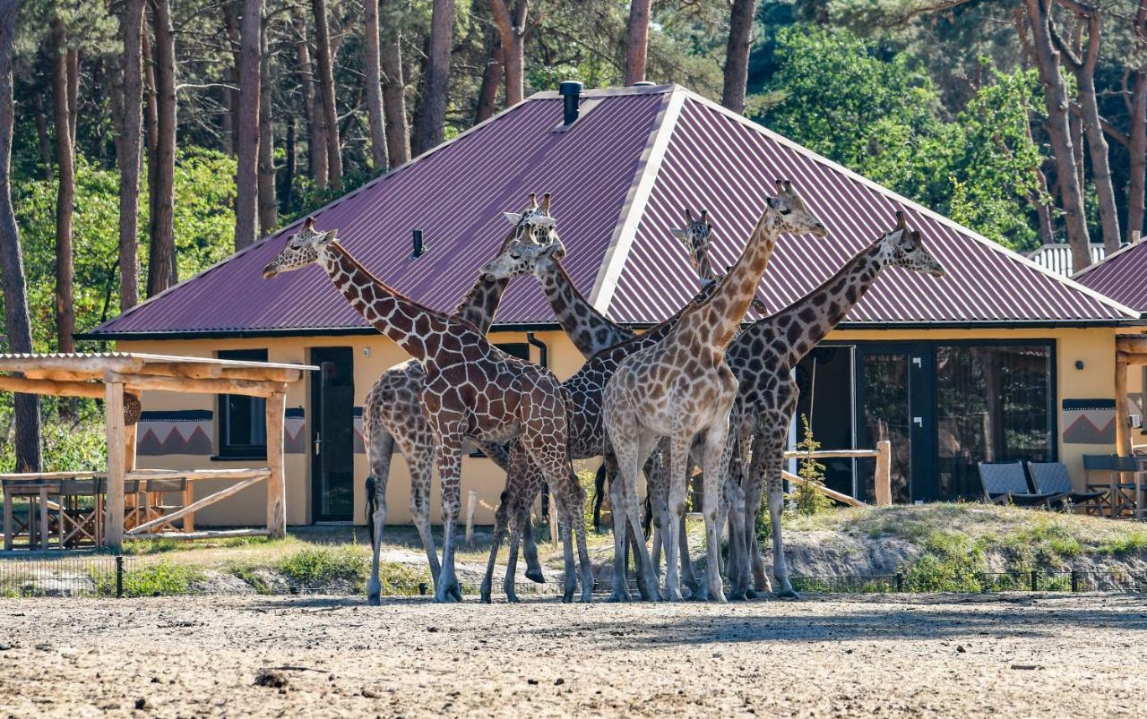 Safari Resort Beekse Bergen Hilvarenbeek Dış mekan fotoğraf