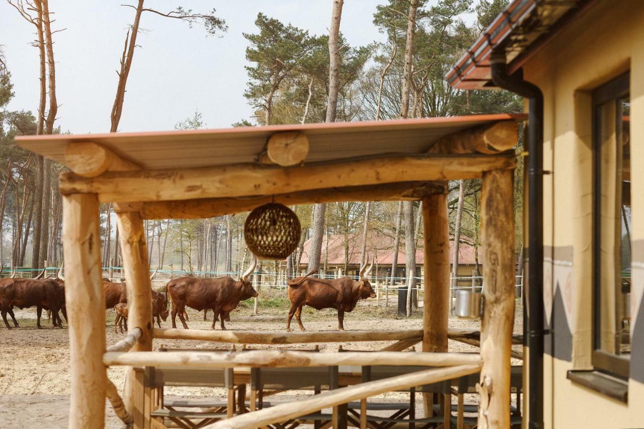 Safari Resort Beekse Bergen Hilvarenbeek Dış mekan fotoğraf