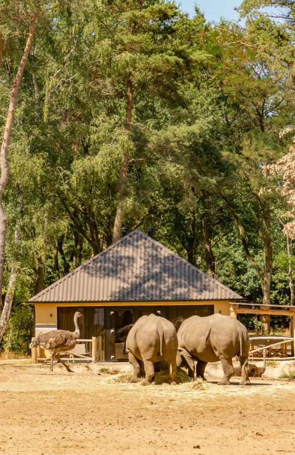 Safari Resort Beekse Bergen Hilvarenbeek Dış mekan fotoğraf
