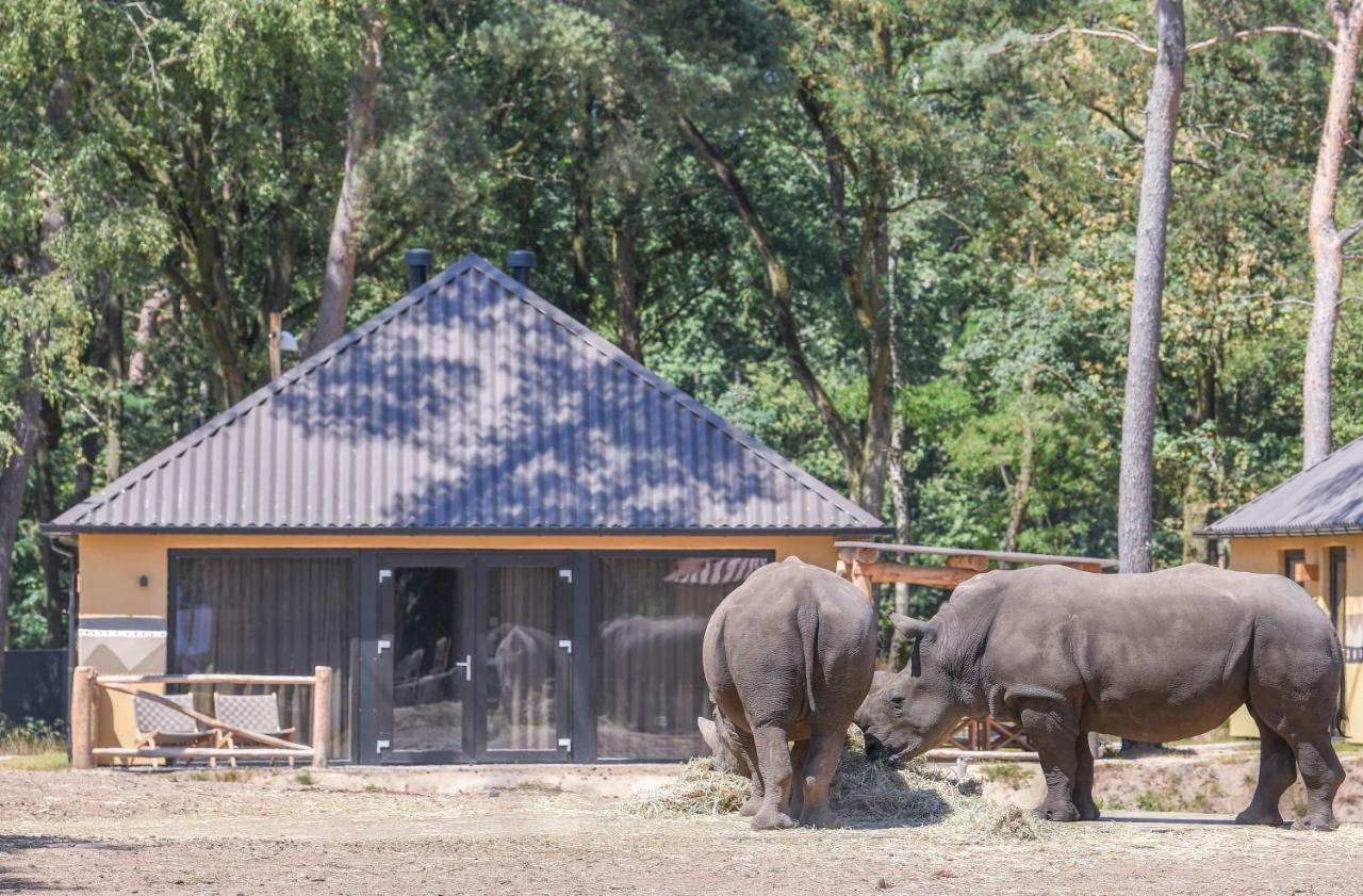 Safari Resort Beekse Bergen Hilvarenbeek Dış mekan fotoğraf