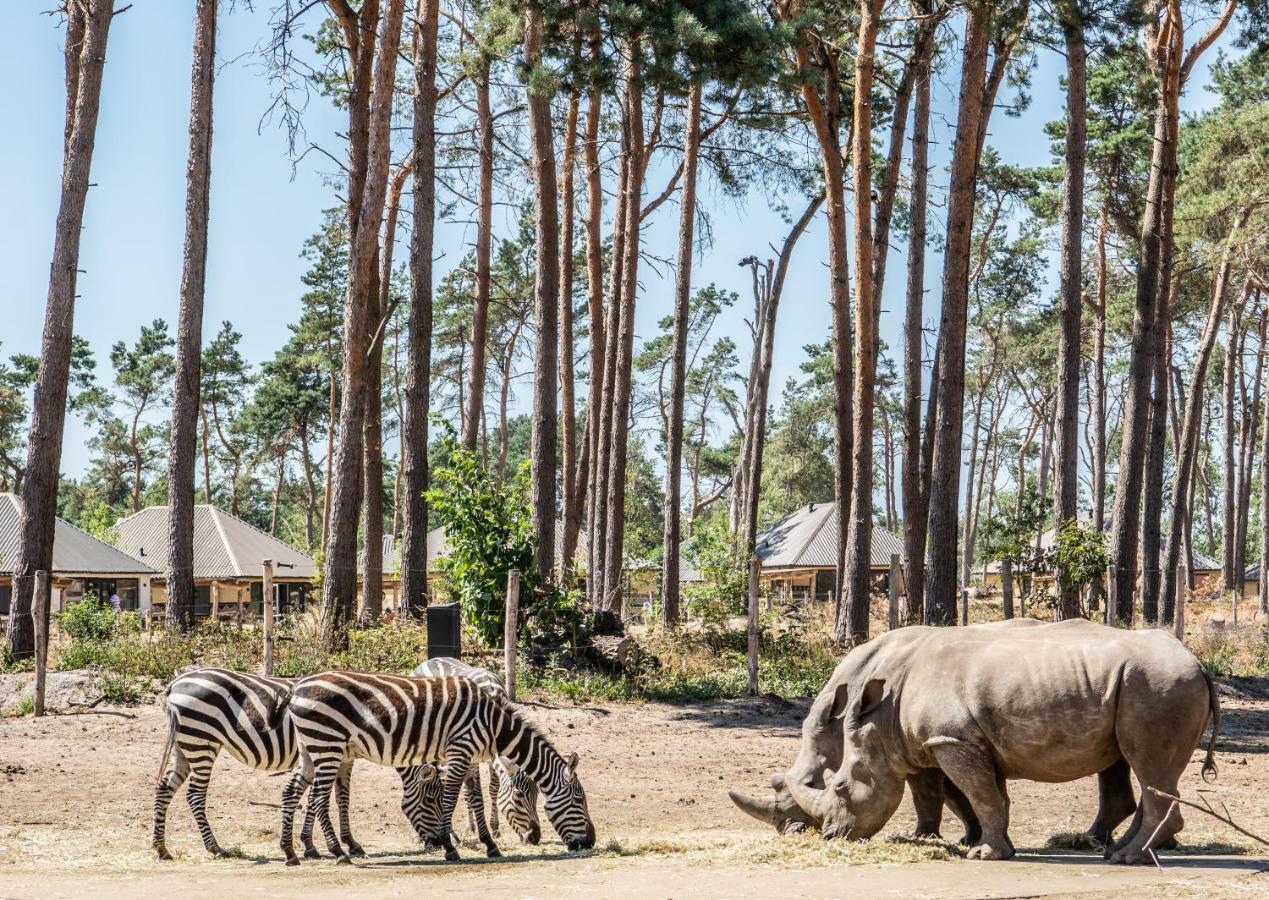 Safari Resort Beekse Bergen Hilvarenbeek Dış mekan fotoğraf
