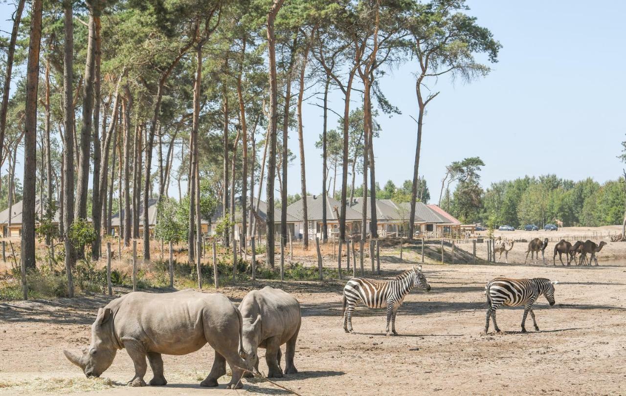 Safari Resort Beekse Bergen Hilvarenbeek Dış mekan fotoğraf